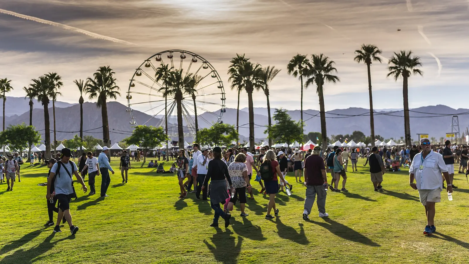 Festival grounds at the Empire Polo Club in Indio with palm trees, a ferris wheel and mountains behind