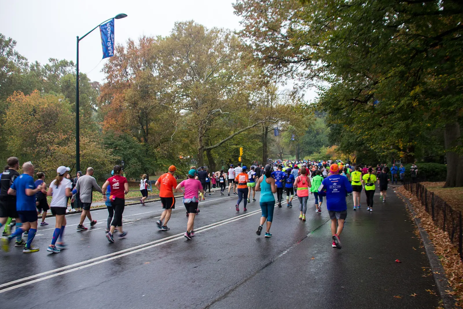 Runners in the New York City Marathon passing through Central Park in autumn 2017